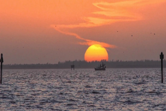 A Day at De Leon Springs