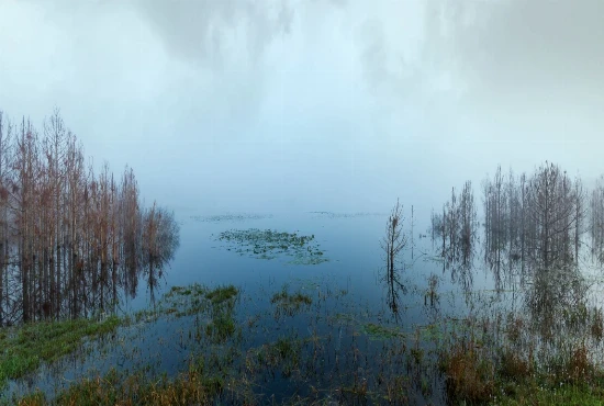 A Family Day at Lyonia