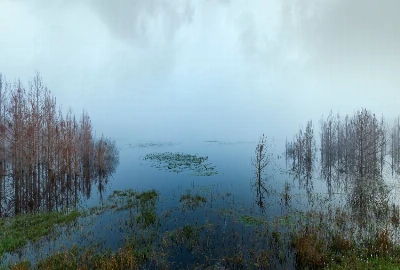 A Family Day at Lyonia