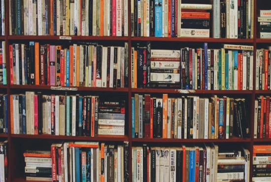 Best Bookstores & Libraries in Daytona Beach for Quiet Escapes