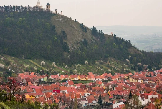 Best Places to Stay in Holly Hill: Budget-Friendly & Riverside Views