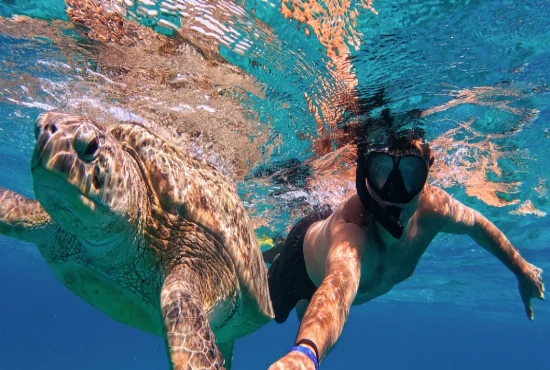 Daytona’s Marine Rescue Secret: Inside the Turtle Rehab & Touch Pools