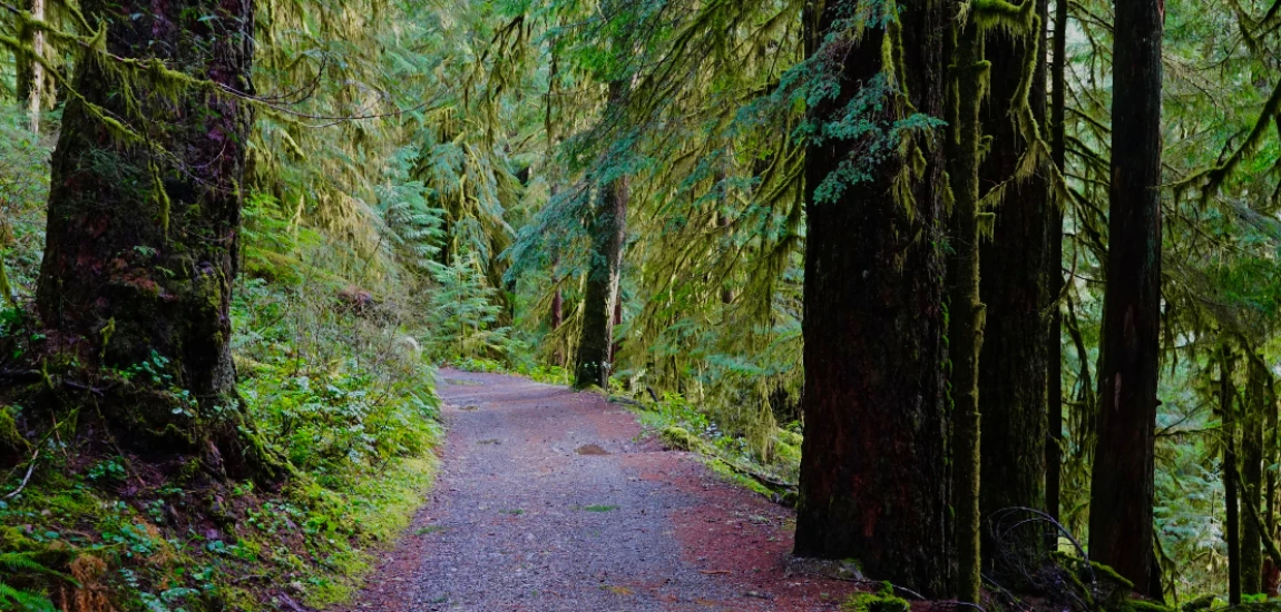 Hiking at Doris Leeper Spruce Creek Preserve