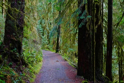 Hiking at Doris Leeper Spruce Creek Preserve