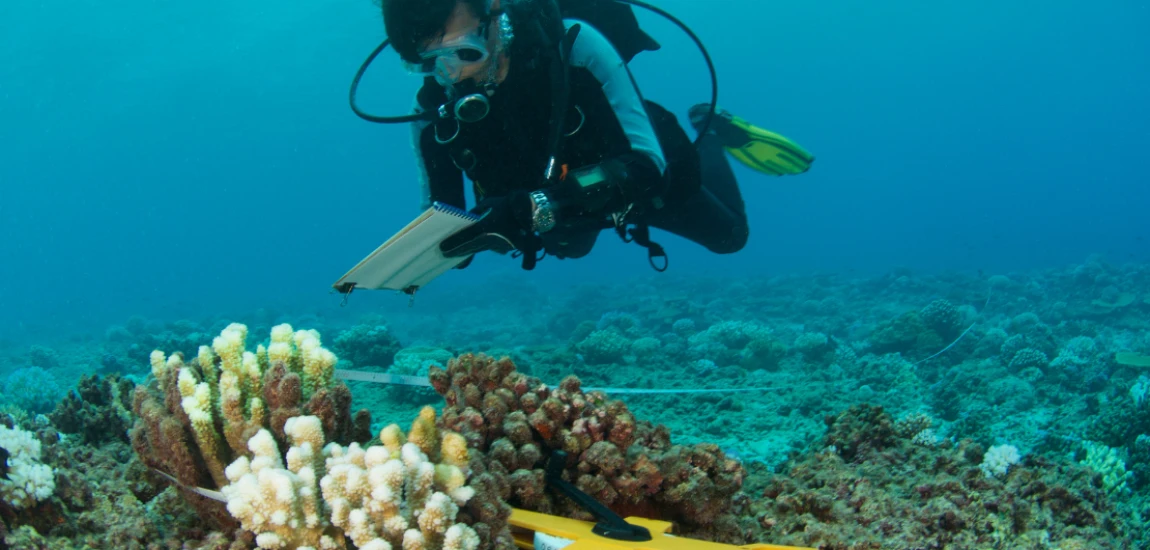 Marine Science Center