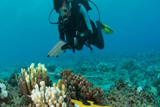 Marine Science Center