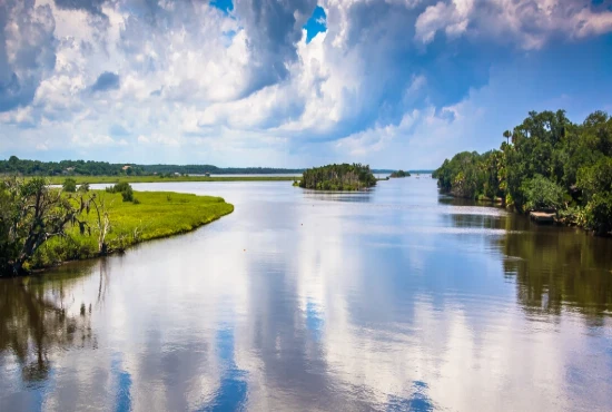 Nature Trails at Tomoka State Park: Wild Florida, Just Outside Daytona