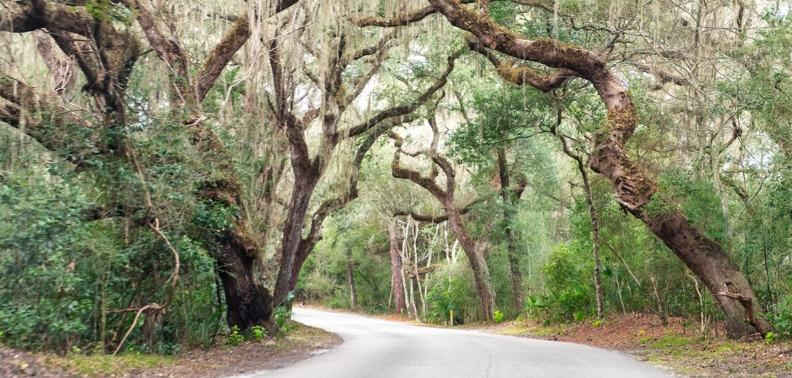 Bullow Creek State Park