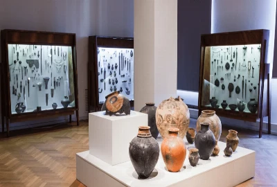 One Afternoon at Museum of Arts and Sciences  (MOAS)