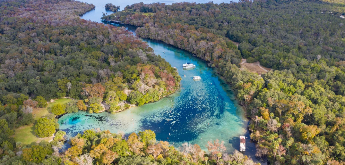  Ocala National Forest