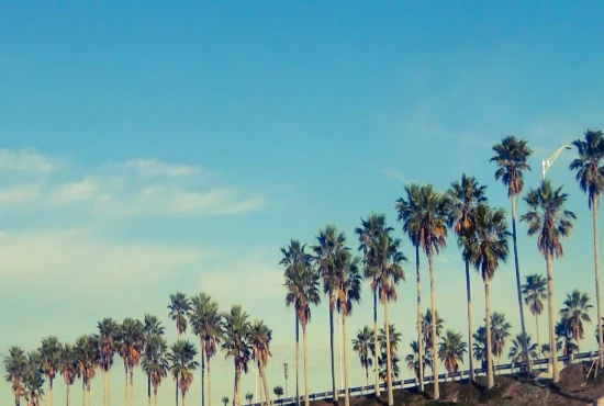 Scenic Views at Ames Park