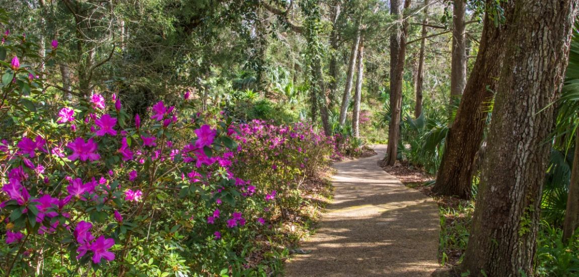 Spring to Spring trails