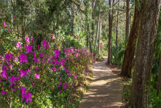 Spring-to-Spring Trail Adventure: Daytona Beach’s Link to Florida’s Natural Springs