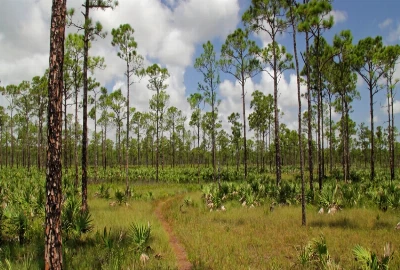 Sweetheart Trail: Ride Through the Heart of Daytona Beach