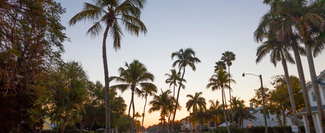 Hiking Tiger Bay State Forest: Explore Daytona’s Wild Side