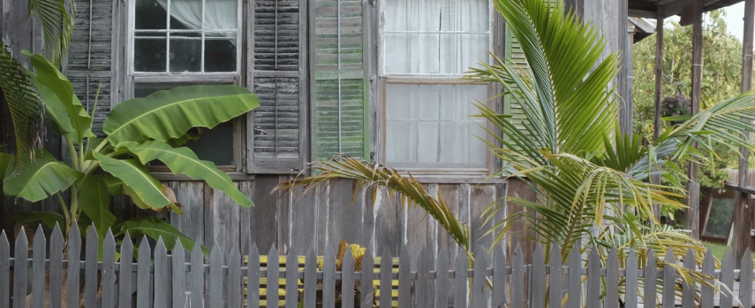 A Day at Cracker Creek: Kayaking Through Daytona’s Untouched Wilderness
