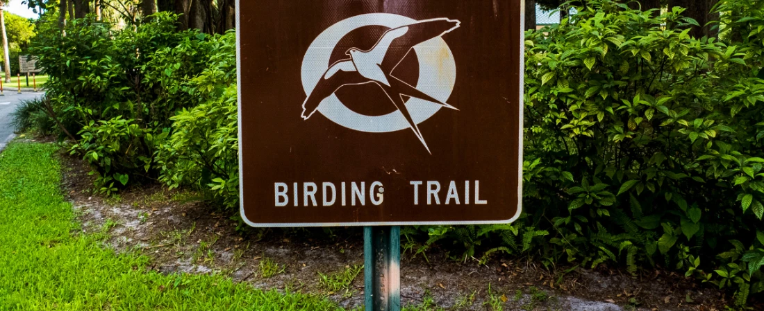 Nature Trails at Tomoka State Park: Wild Florida, Just Outside Daytona