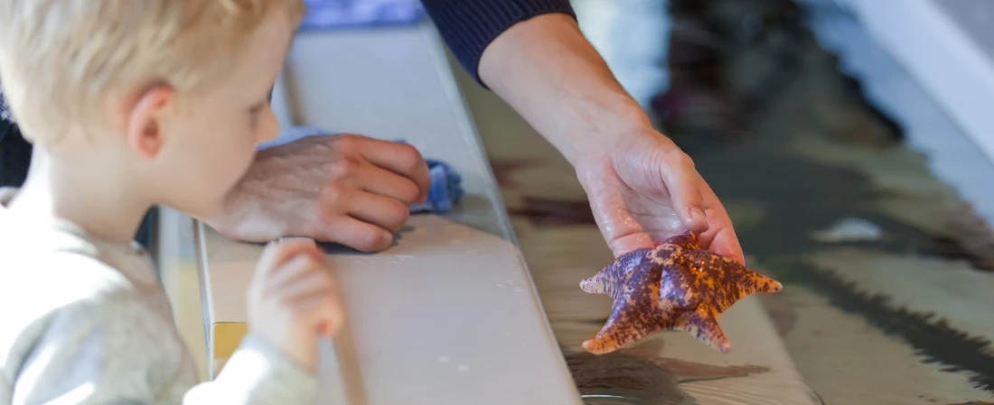 Daytona’s Marine Rescue Secret: Inside the Turtle Rehab & Touch Pools