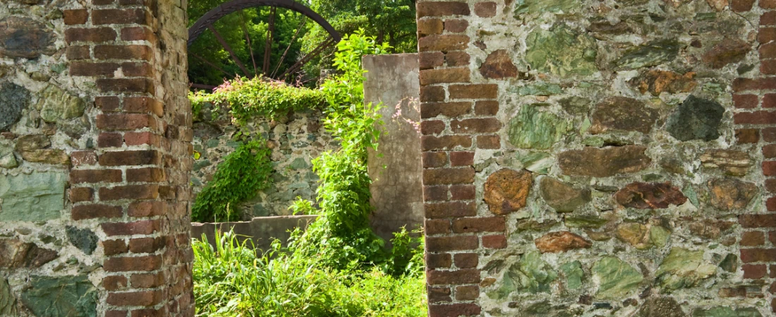 Old Spirits and Ancient Trees: A Ghostly Afternoon at Bulow Creek