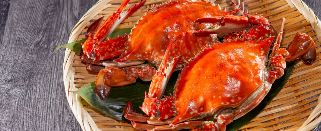 Family-Friendly Restaurants Near Daytona Beach