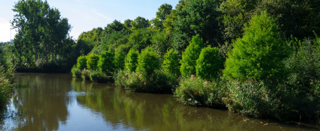 Underrated Parks in Daytona Beach Locals Love