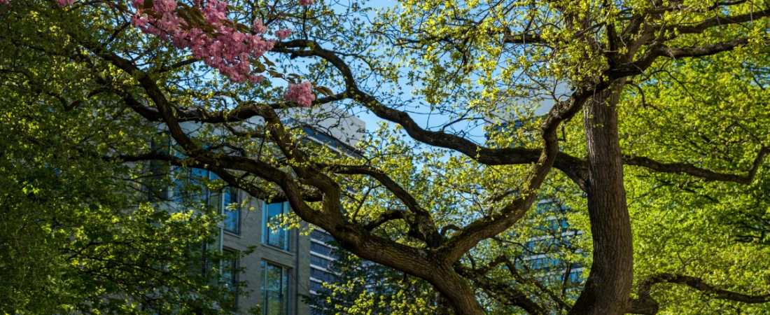 Underrated Parks in Daytona Beach Locals Love