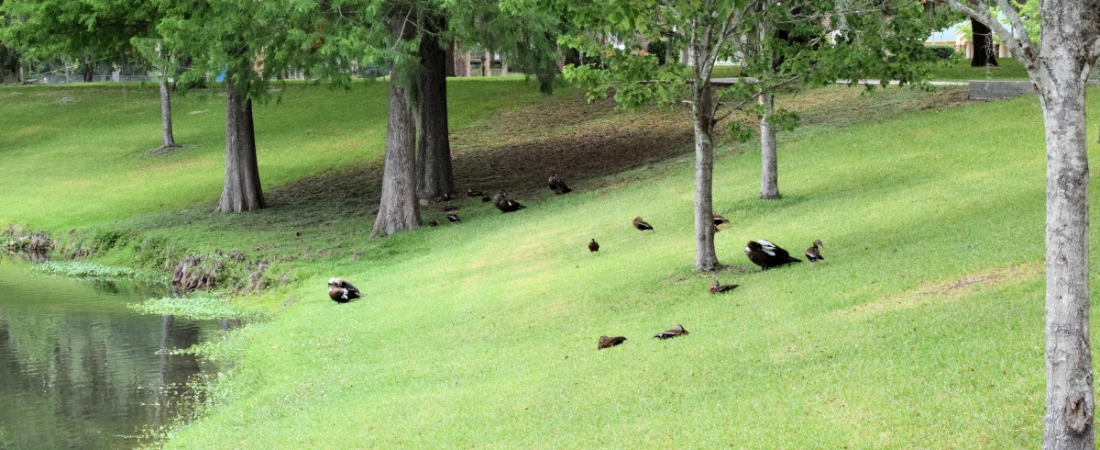 Underrated Parks in Daytona Beach Locals Love