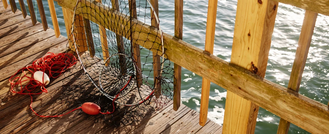Local Experiences in Port Orange: A Riverside Community Full of Surprises