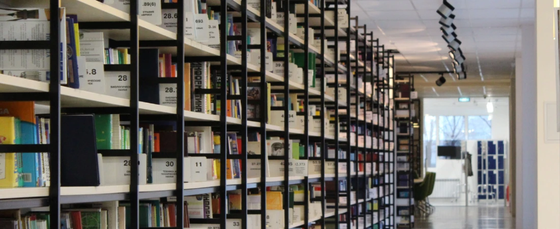 Best Bookstores & Libraries in Daytona Beach for Quiet Escapes