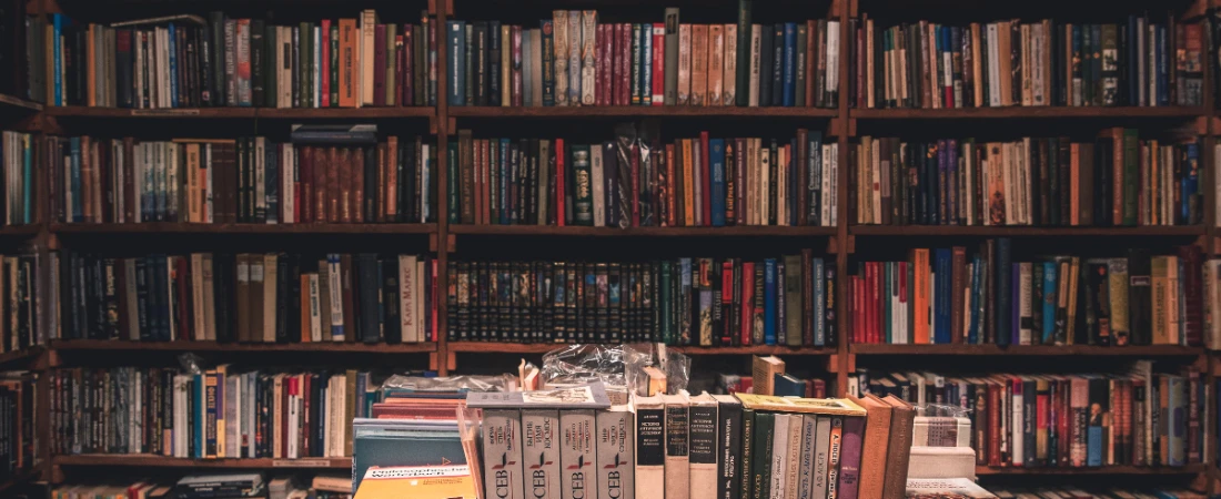 Best Bookstores & Libraries in Daytona Beach for Quiet Escapes