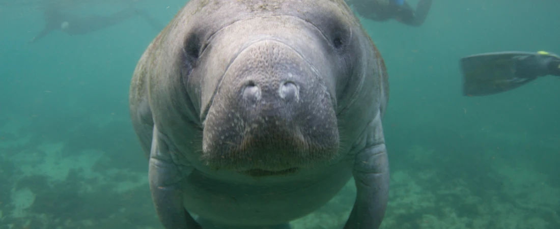 Sweetheart Trail: Ride Through the Heart of Daytona Beach