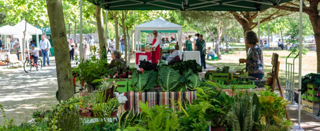 Farmers Markets Around Daytona Beach: Fresh Finds Every Week