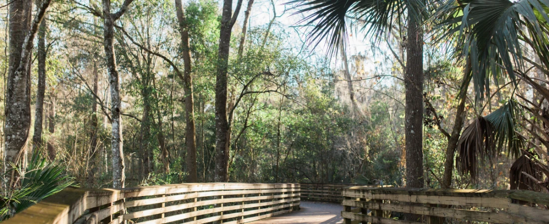 Hiking at Doris Leeper Spruce Creek Preserve