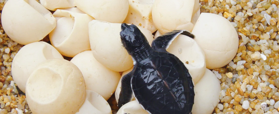 Marine Science Center